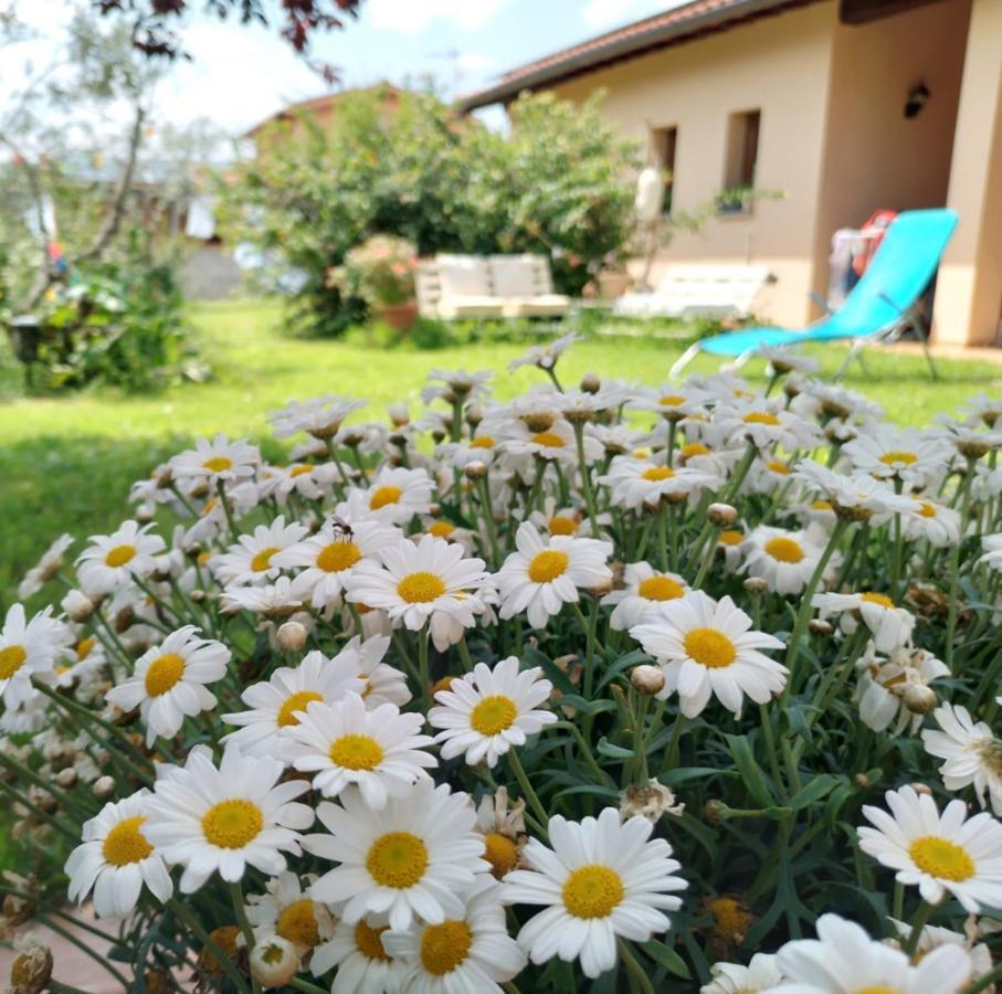 Bnb A La Maison Reggello Extérieur photo
