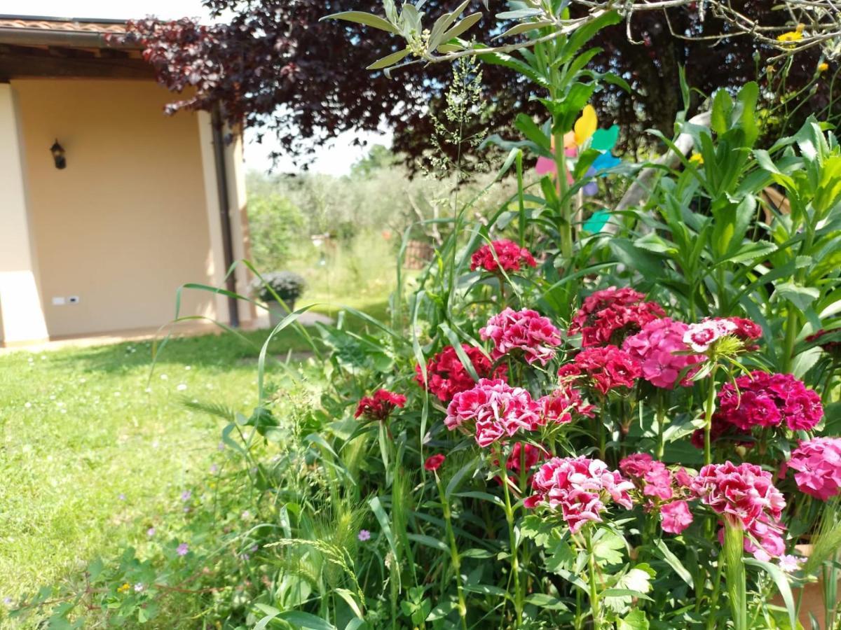 Bnb A La Maison Reggello Extérieur photo